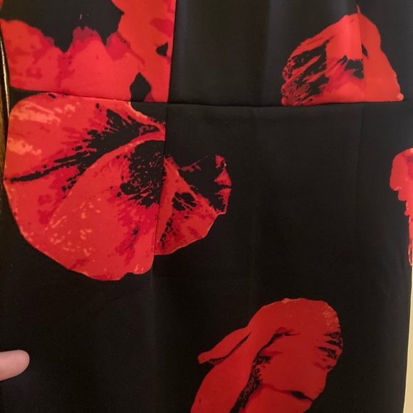 Dress - Picture 4 of 5